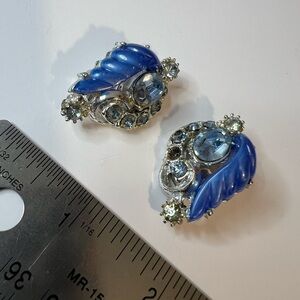 Elegant Blue and Silver Women's Earrings